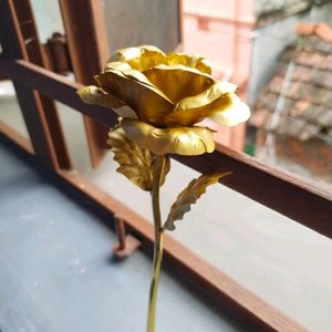 Golden Rose