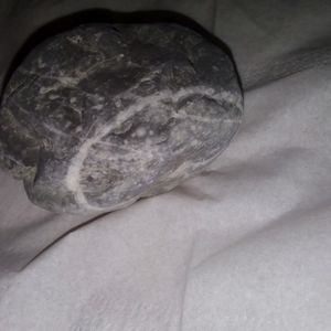 ROCKS FOR ROCK COLLECTORS (PACK OF 3)