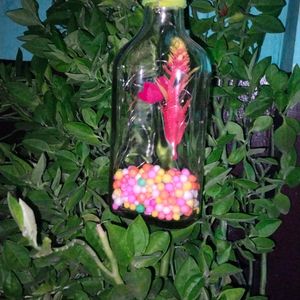 Bottle Home Decoration With Lite