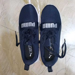 Brand New Original Puma Shoes