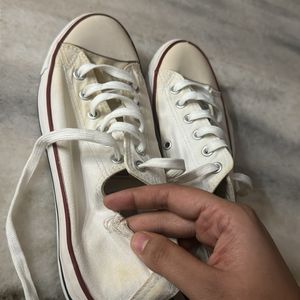 White Converse Shoes