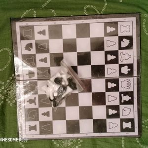 Chess ,Ludo And Ladders