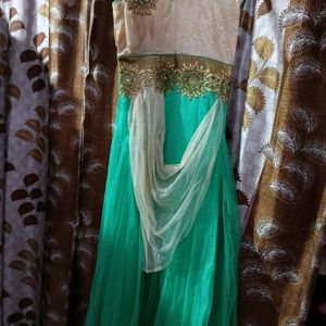 Light Green & Cream Net Ethnic Gown