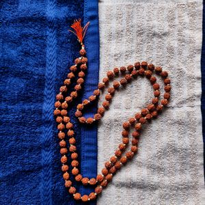 PanchMukhi Rudraksh Mala Small Beads 📿 108