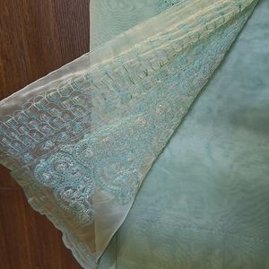 Light Sky Oraganze Saree