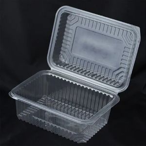 Plastic Container Food/ Refrigerator.