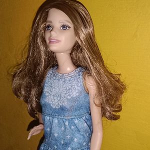 Rare Barbie Fashionista From 2014
