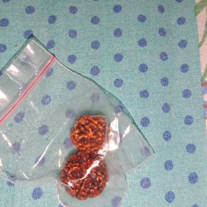 Two Original Rudraksha For Women And Men Both