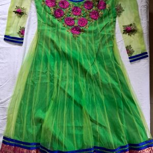 Parrot Green Net+silk Suit