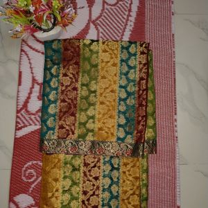 A Beautiful Multi Colour Saree