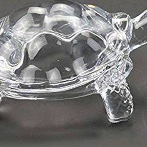 Glass Turtle