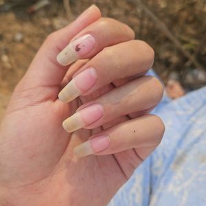 Nail Growth Oil