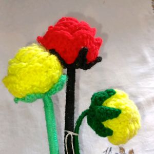 Red And Yellow Chechet Flowers