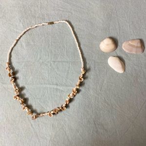 seashell necklace