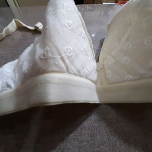 Paded Embroidered Bra With Cream Color