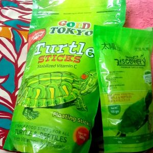 5oo+100 Turtle 🐢 Food