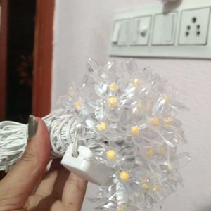 Piece Of 2 Flower Warm White Led Lights