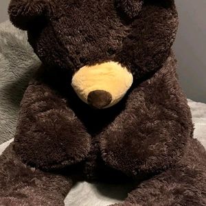 Dark Brown Teddy Bear