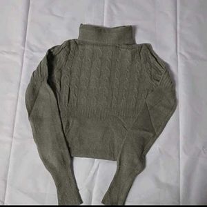 Turtle Neck Woolen Top