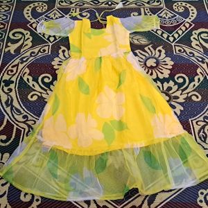 Beautiful Floral Organza Dress For Summer