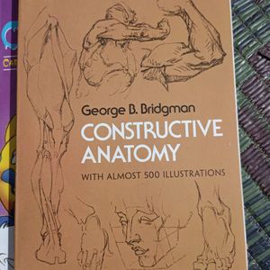 OConstructive Anatomy,How To Draw Cartoon, Pokemon