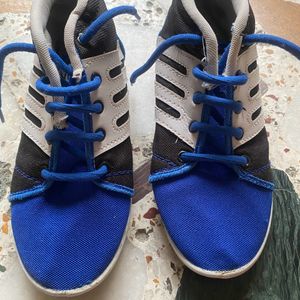 Shoes Blue Stylish