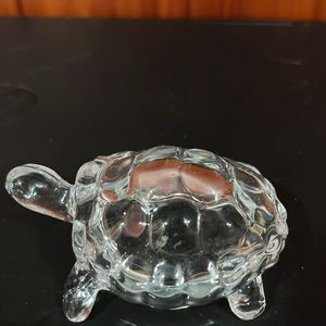 Small Turtle Show Piece