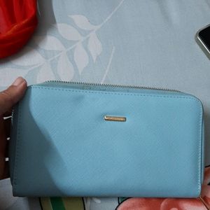Beautiful Pastel Blue Wallet For Women