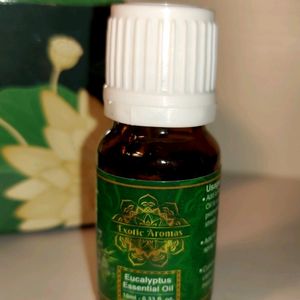 10ml Eucalyptus Essential Aroma Oil