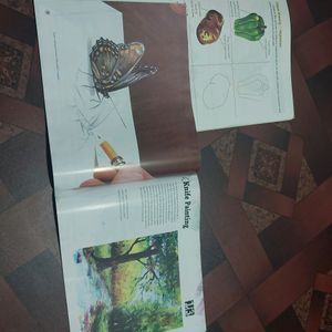 Price Drop For Today Art Books Combo