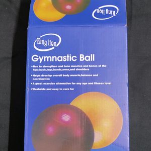 Price Drop: Gym Excercise / Birthing Ball