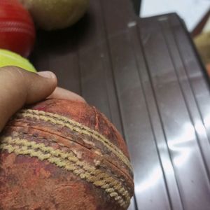 Sg Professional Cricket Ball