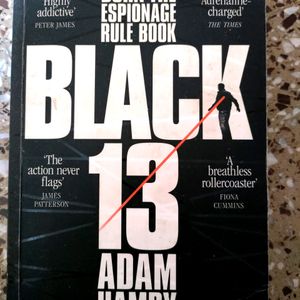 Black 13 - Interesting Spy Thriller