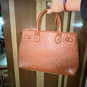 Crocodile Leather Purse