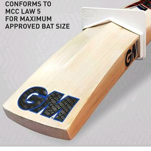 GM Mythos Prestige Short Handle English Willow Bat