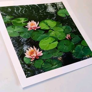 Waterlily Gouache Painting