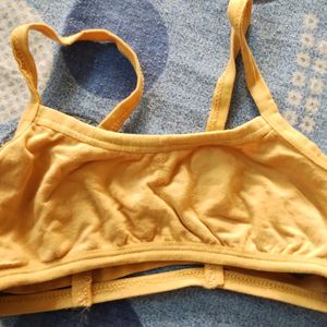 6 Belt Bra Non Padded