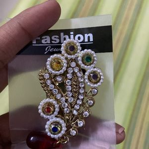 Beautiful Saree Pin