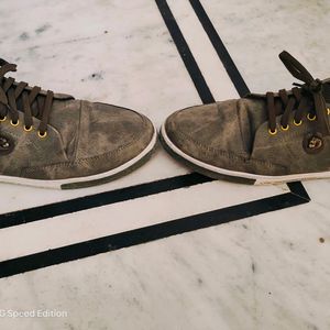 Light Green Olive Color Sneaker