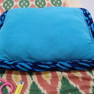 Elsa Anna Pillow