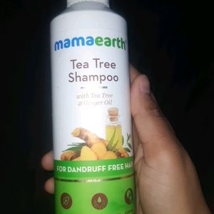 Shampoo