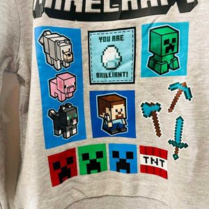 Minecraft Sweatshirt!