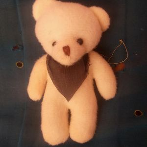 Small Teddy 🤩