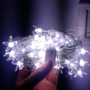 Brand New Flowers Led Series For Decoration | 40Fe