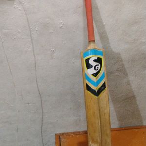 Best' Bat Of Playing Cricket And Fighting