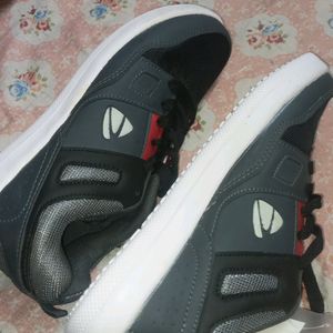 Duke . Footwear Grey Colour