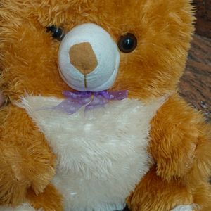 Teddy Bear Soft Toy