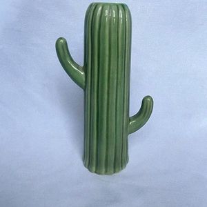 Cactus vase Set Of 2