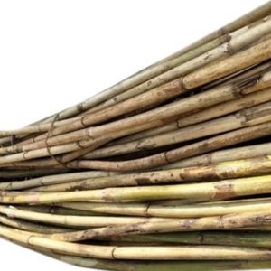 Rattan Cane Stick