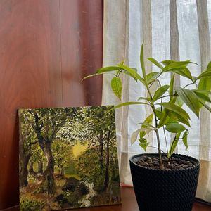 acrylic painting of trees on canvas